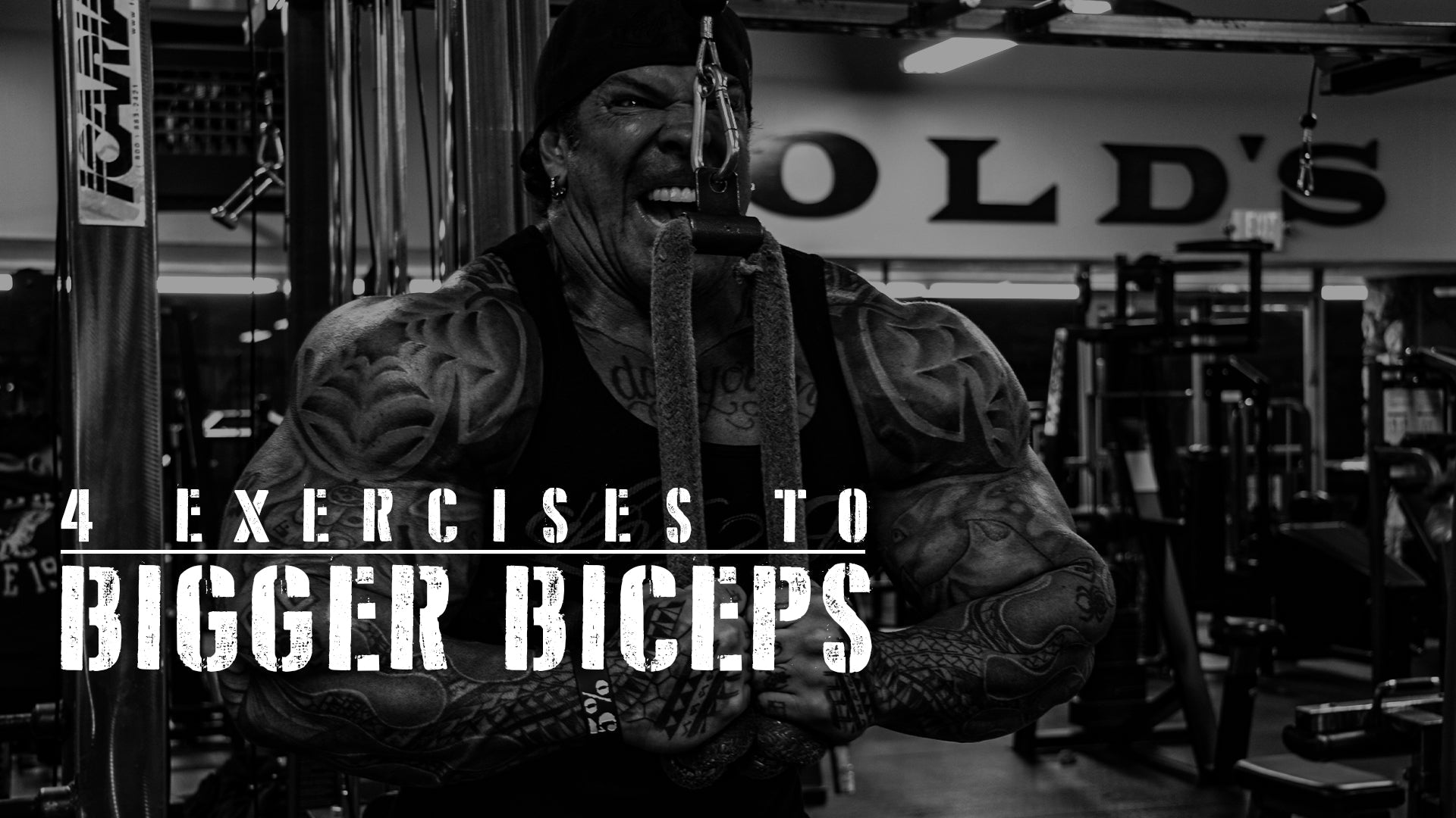 4 Exercises To Bigger Biceps