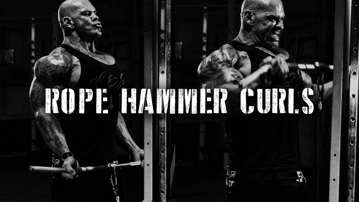 Rope Hammer Curls - A Favorite Rich Piana Bicep Exercise