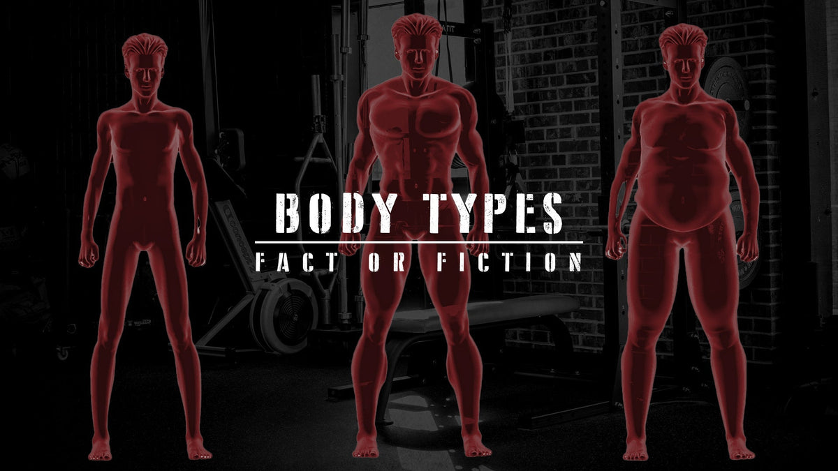 Body Types: Fact Or Fiction?