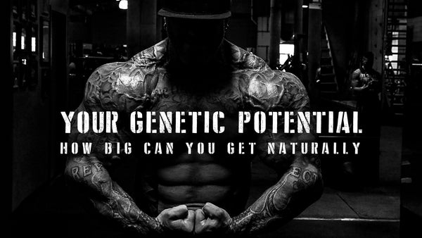 Your Genetic Potential - How Big Can You Get Naturally, Part 1