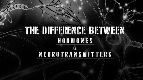 How Hormones And Neurotransmitters Can Help You - Part 1