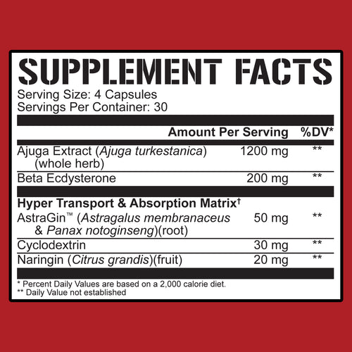 Turkesterone 1200 - 5% Nutrition